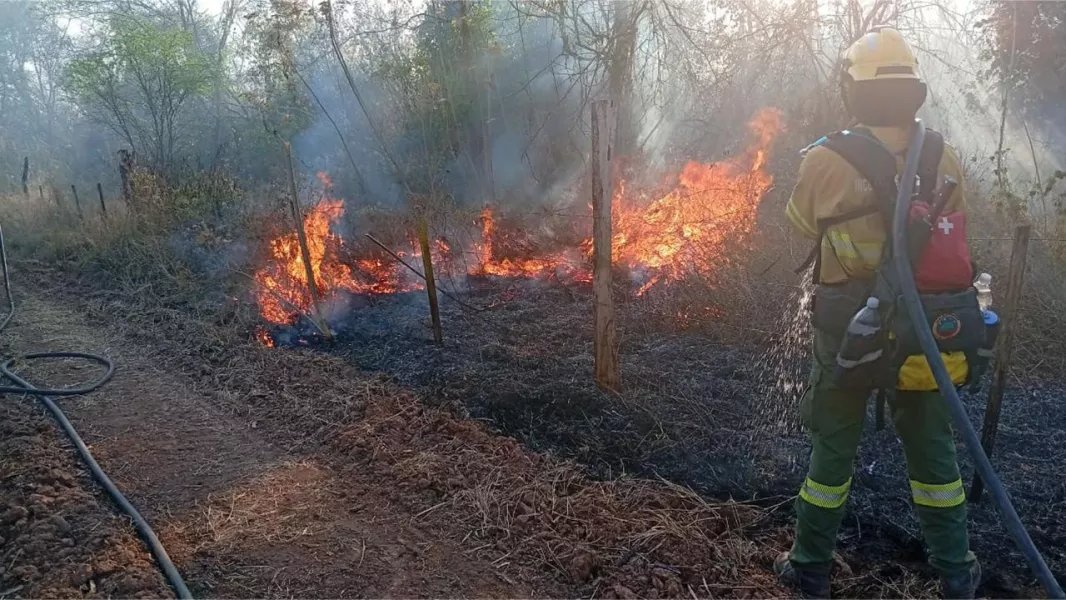 104212-continuan-las-tareas-de-sofocamiento-de-incendios-forestales-en-el-norte-provincial