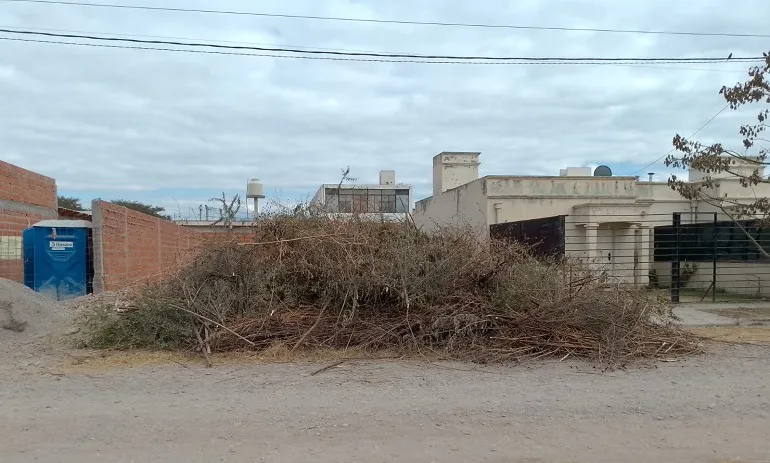 microbasural microbasural