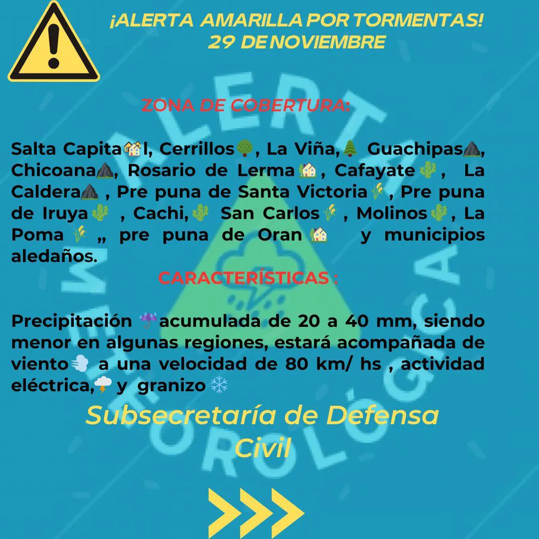 WhatsApp Image 2025-11-29 at 07.53.15