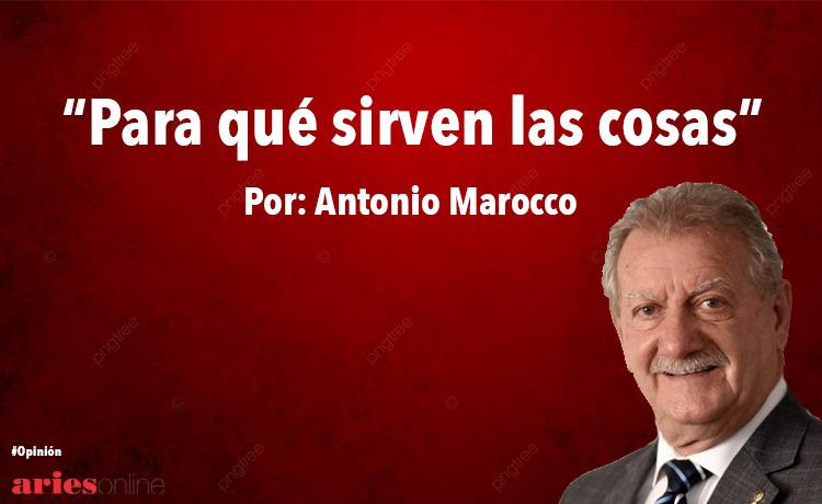 WhatsApp Image 2022-03-10 at 11.15.00 AM