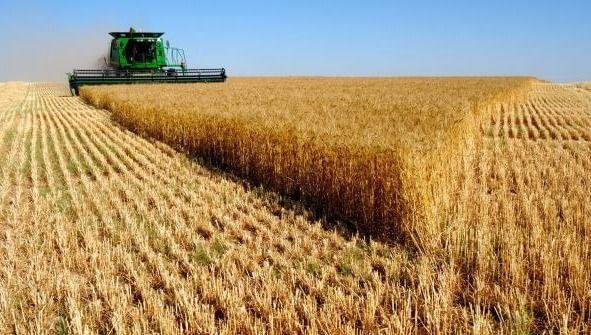 produccion campo