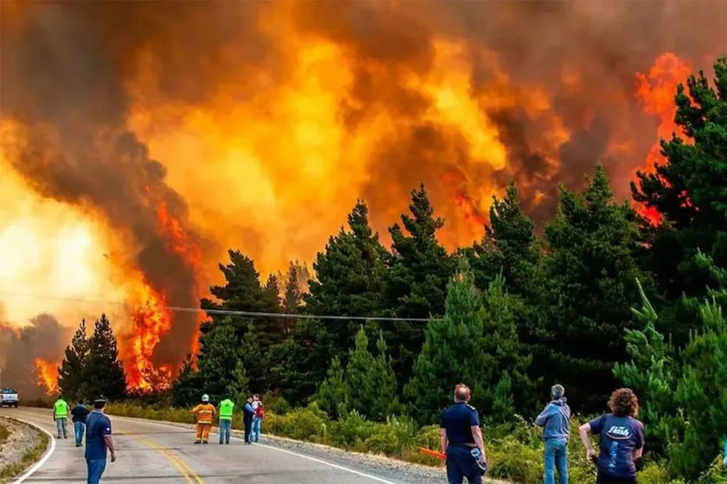 imagen_2025-01-22_084952202