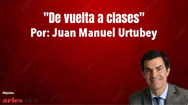 columnas (29)