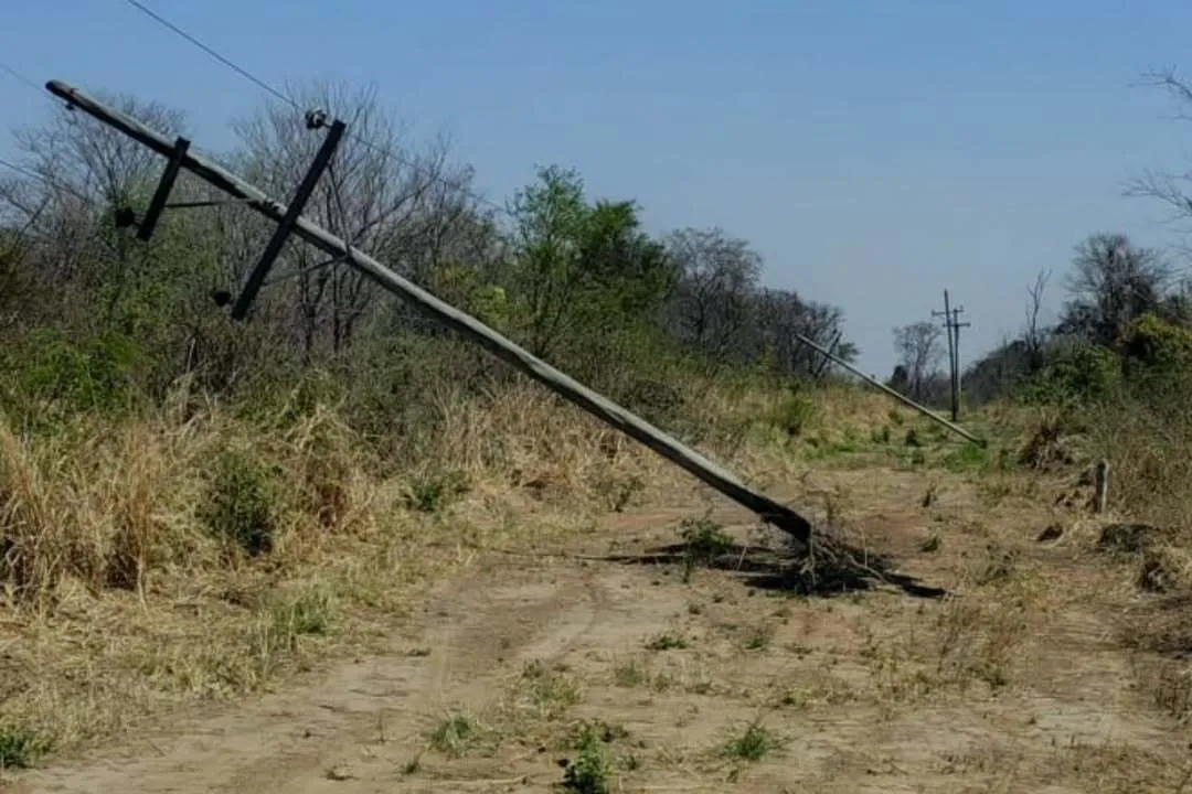 DENUNCIA - Incendios intencionales afectaron el servicio eléctrico en el norte provincialDurant (1)