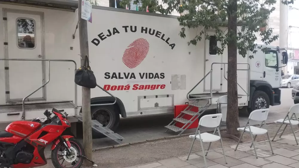 WhatsApp Image 2023-05-03 at 08.19.11