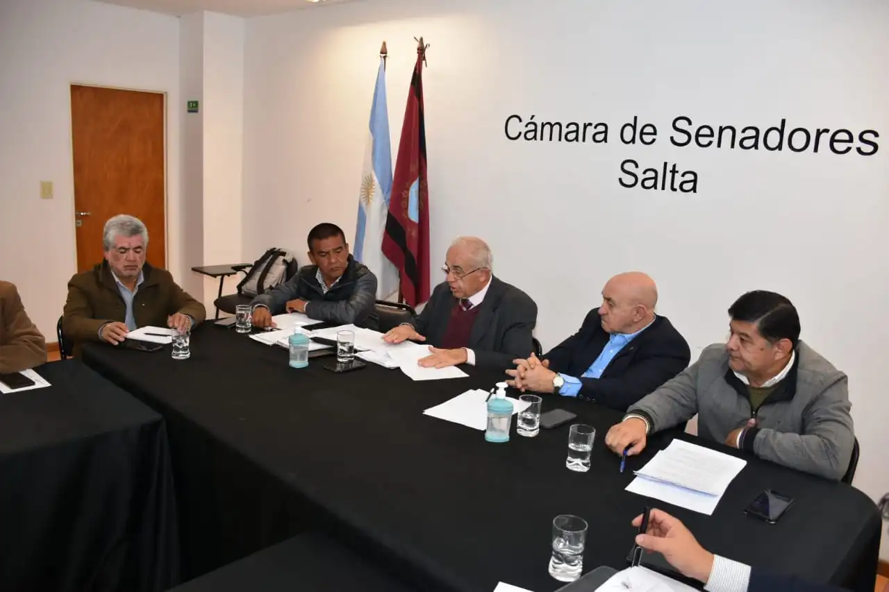 senado salta
