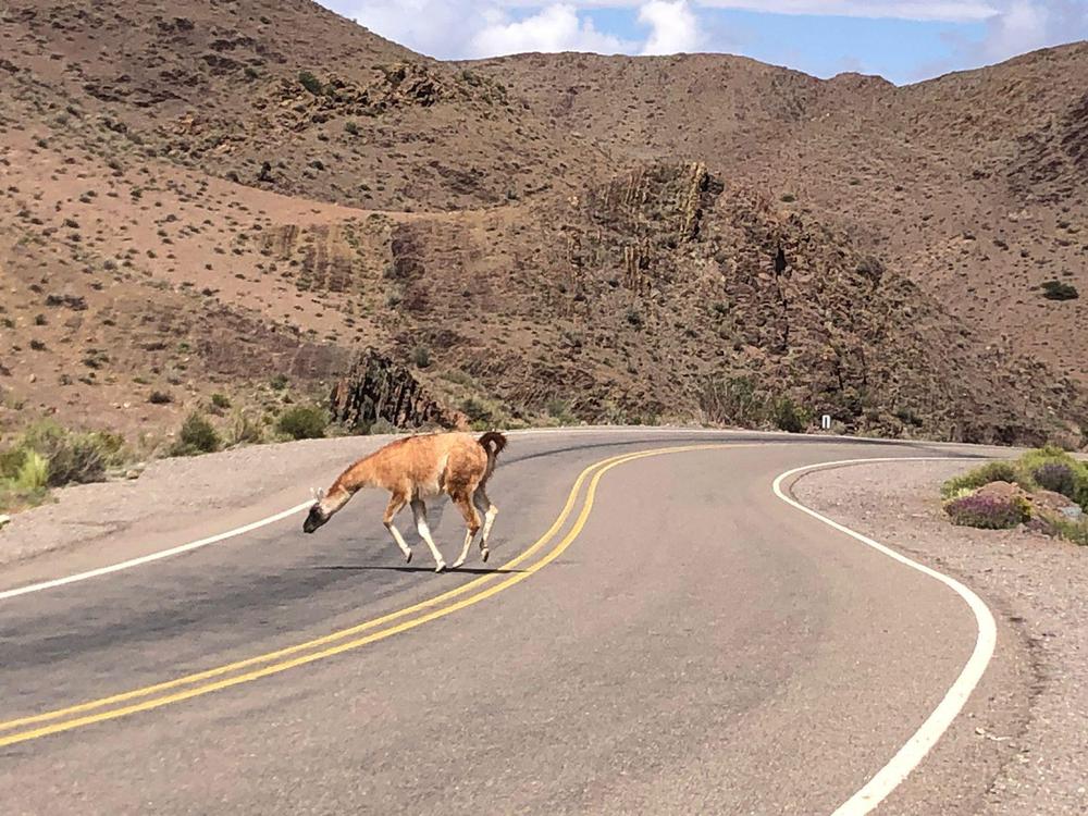 WhatsApp Image 2024-03-05 at 12.39.53