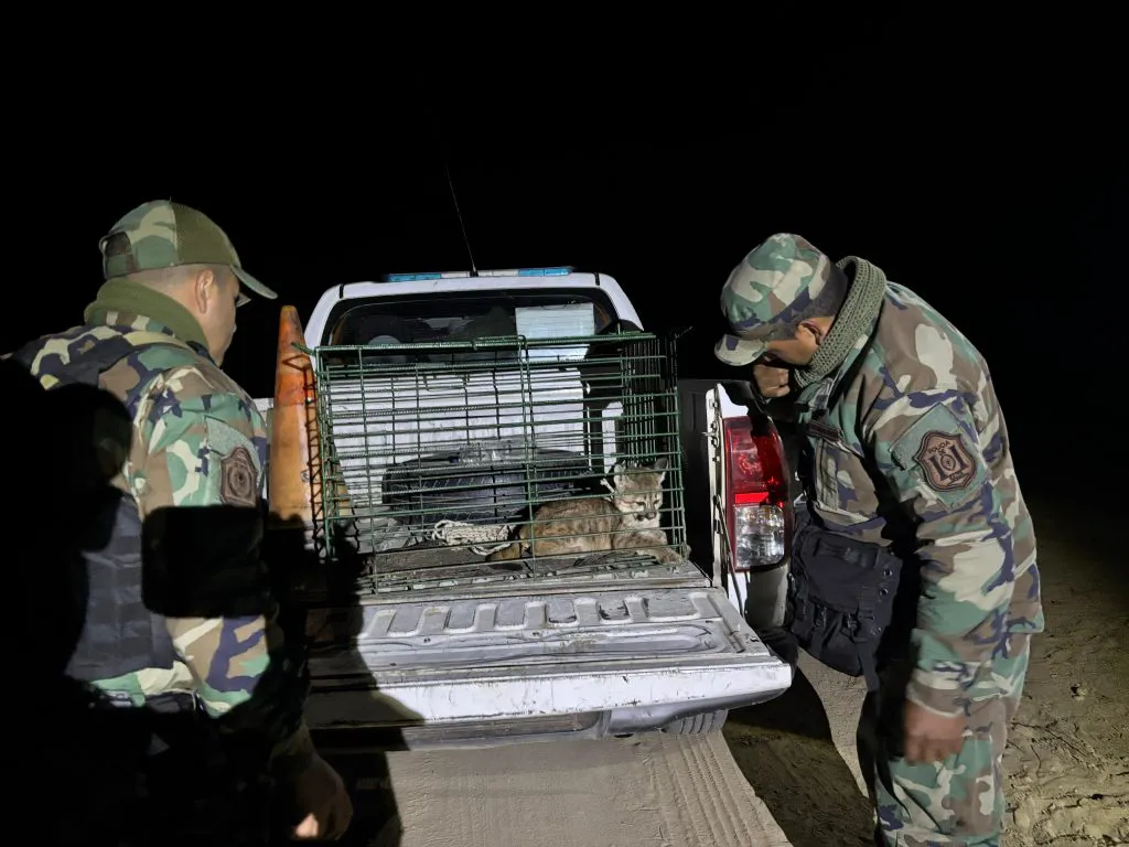 WhatsApp-Image-2025-08-18-at-8.49.02-AM-1-1024x768