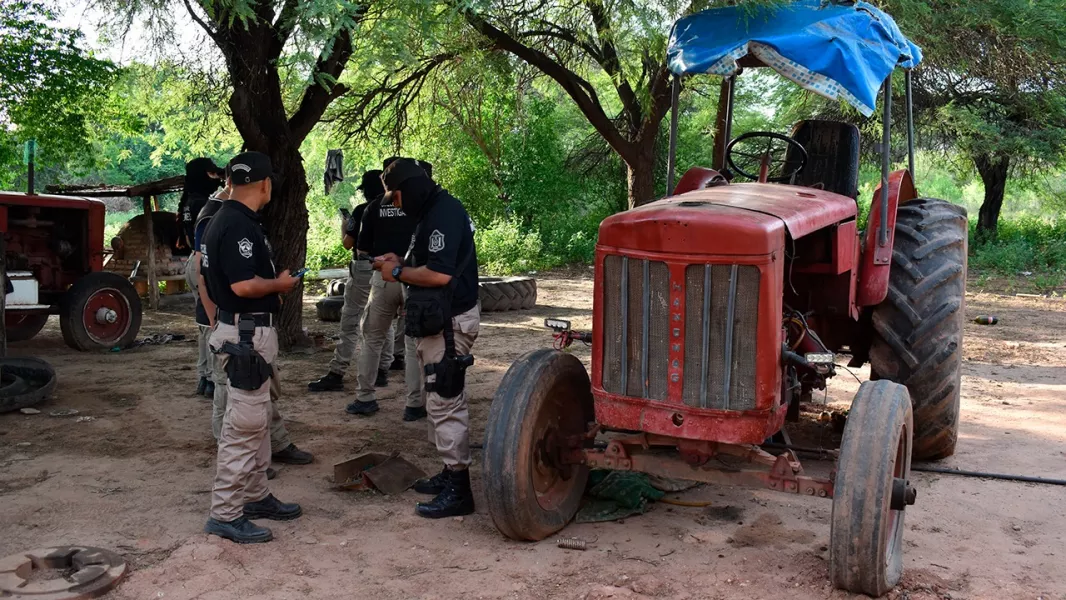 17055-multiples-allanamientos-y-detenciones-por-robo-de-madera-en-fincas-de-tartagal