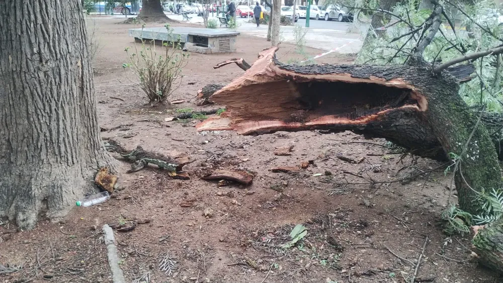 WhatsApp Image 2023-12-04 at 08.54.50