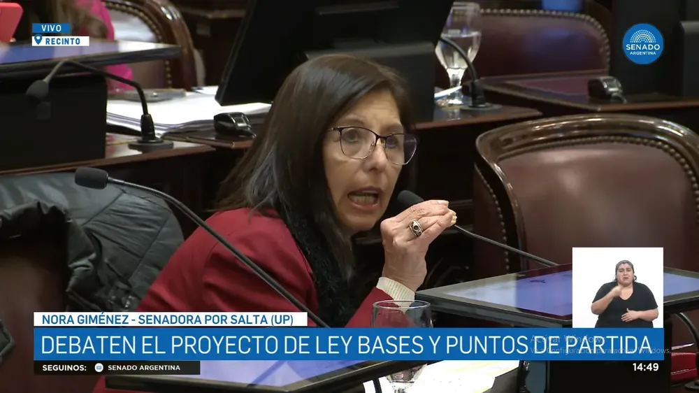 Nora Gimenez ley bases