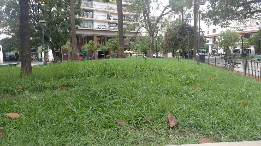 WhatsApp Image 2024-01-22 at 09.24.50