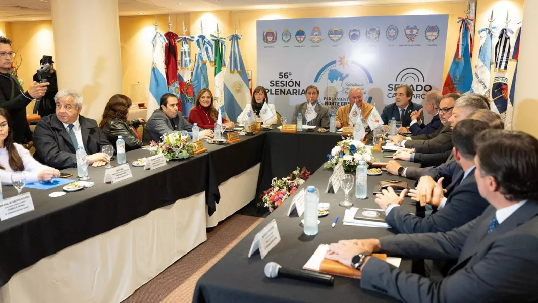 102955-el-norte-grande-avanza-en-una-estrategia-regional-para-fortalecer-la-seguridad