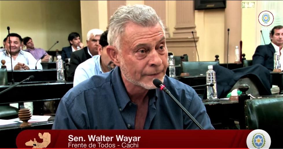 Walter Wayar