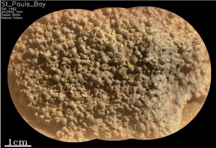 nasa-martejpg