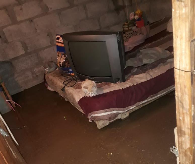 WhatsApp Image 2024-01-17 at 03.37.15