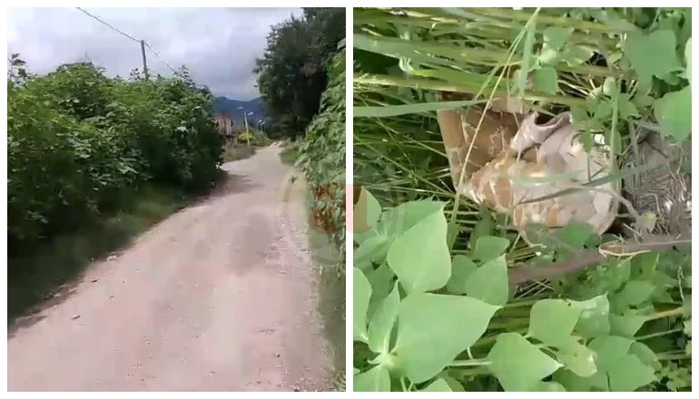 inseguridad zona sudeste