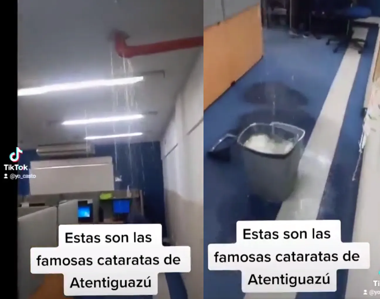 Imagen1