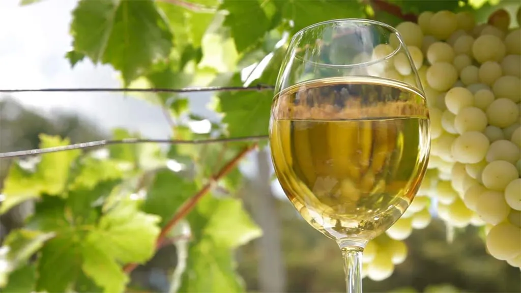 vino_blanco2
