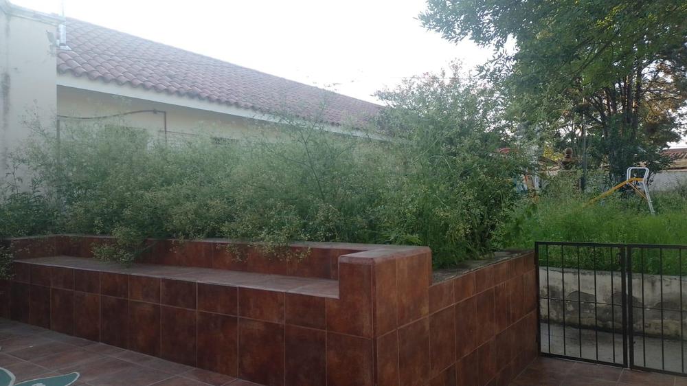 malezas escuela padilla 