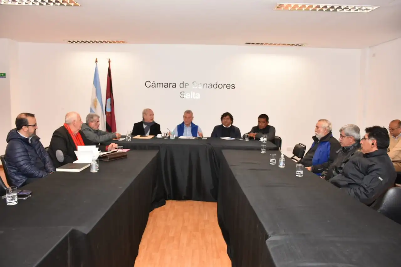 senado salta 22-06-22