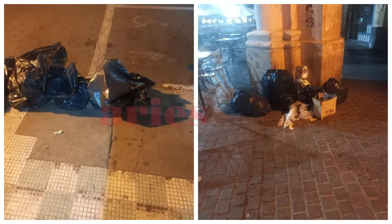 basura paro