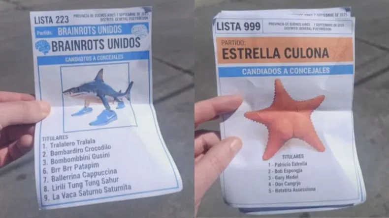 boletas-truchas-brainrot-estrella-culona-conicet