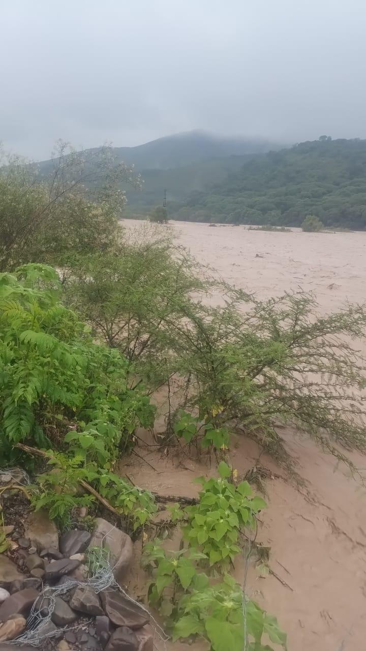 WhatsApp Image 2024-03-03 at 11.56.48