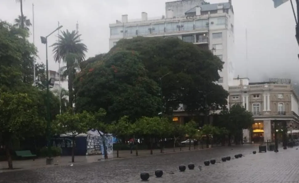 WhatsApp Image 2024-04-10 at 09.13.42