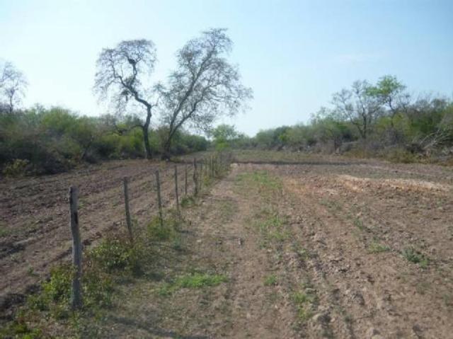 metan_campo_en_venta_chaco_argentina_3220097482524860085