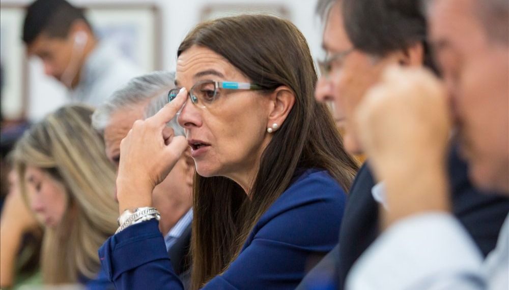 analia berruezo en la legislatura