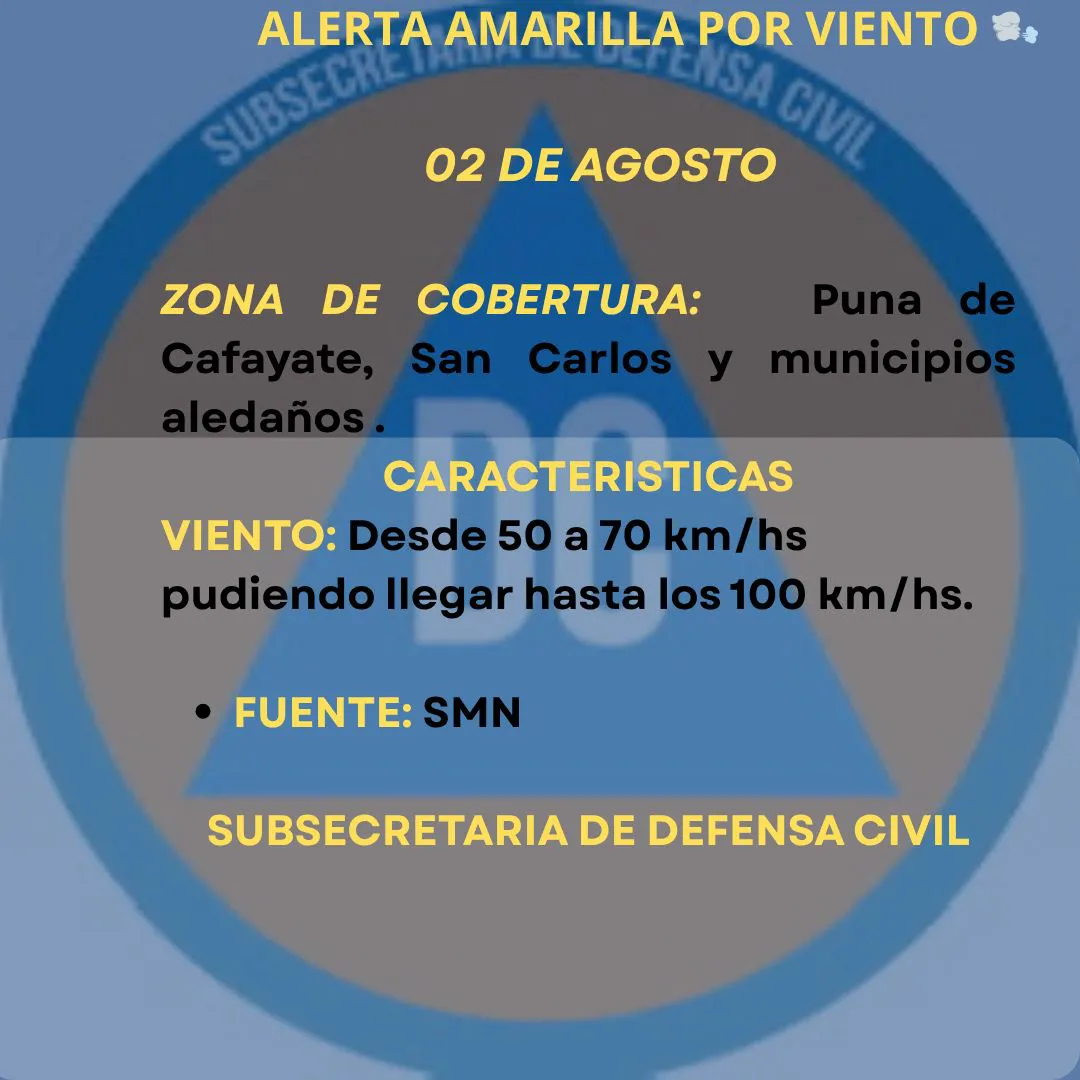 WhatsApp Image 2025-08-02 at 09.10.24