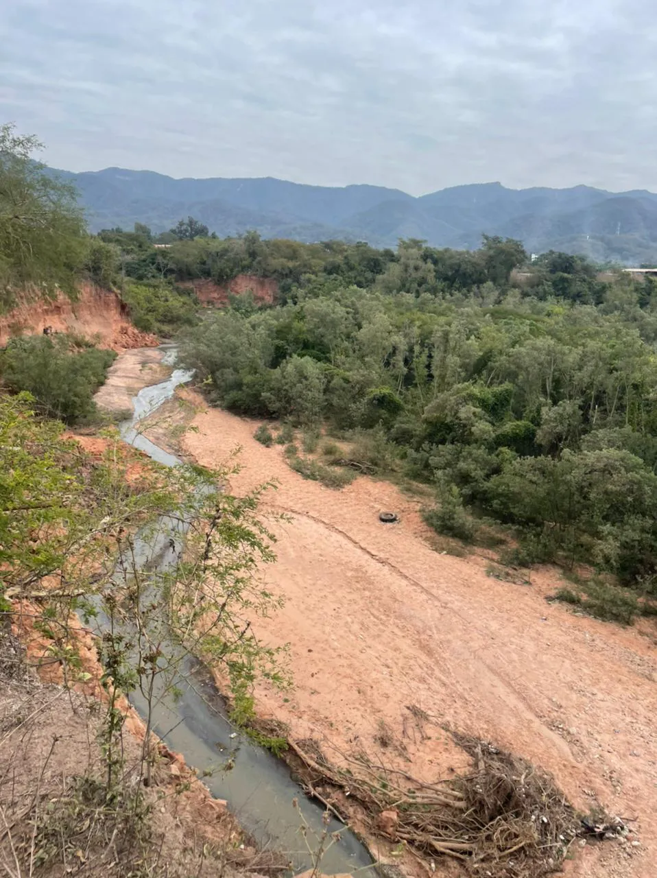 WhatsApp Image 2025-08-05 at 09.56.59 (1)