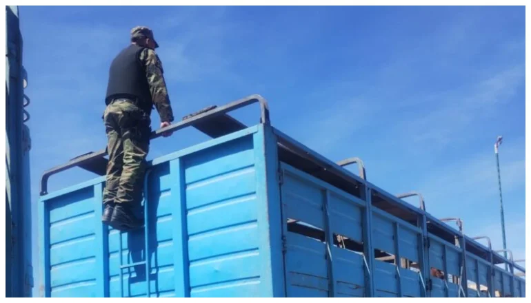 DOCUMENTACION FALSA