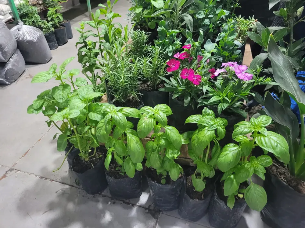 WhatsApp Image 2025-11-04 at 10.18.56