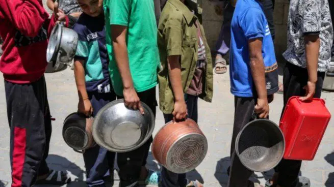gaza-comida