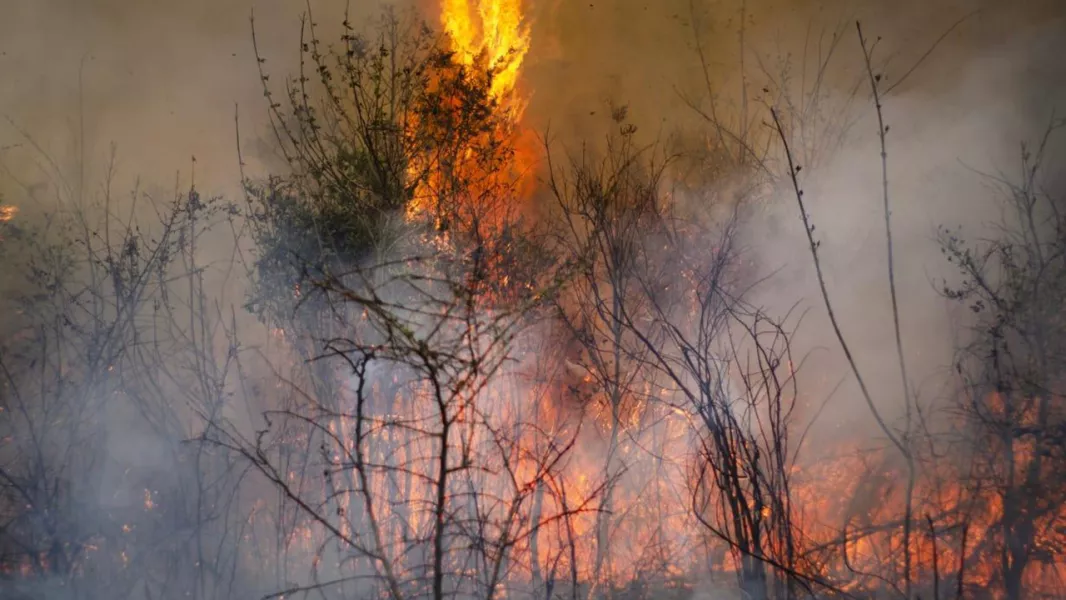 19955-amplio-operativo-de-defensa-civil-para-el-sofocamiento-de-incendios-de-pastizales-en-el-norte-provincial