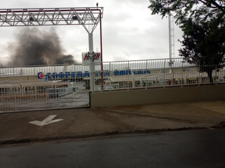 WhatsApp-Image-2025-11-11-at-07.58.31-1-768x576