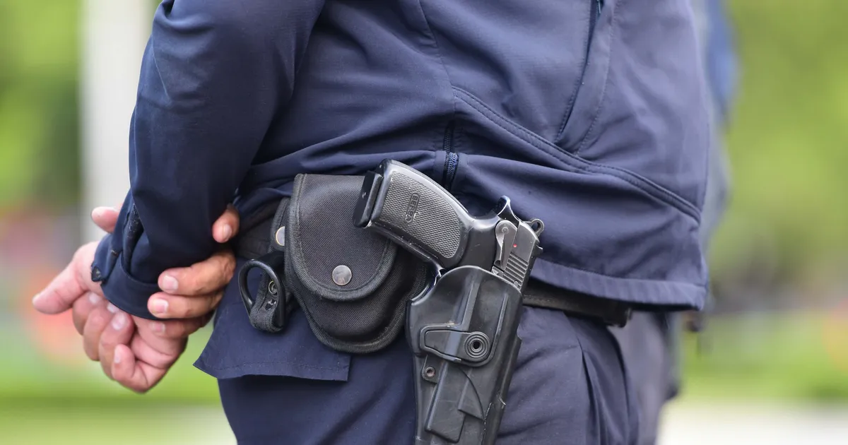 policiales-policias-patrulleros-genericas-15jpg