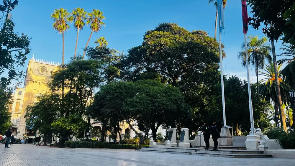 WhatsApp Image 2025-04-03 at 08.17.29