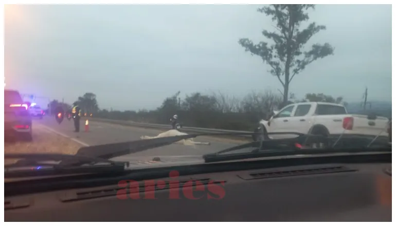 accidente caballo suelto