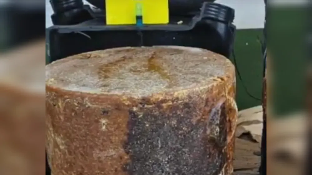 InShot_20250629_222809476