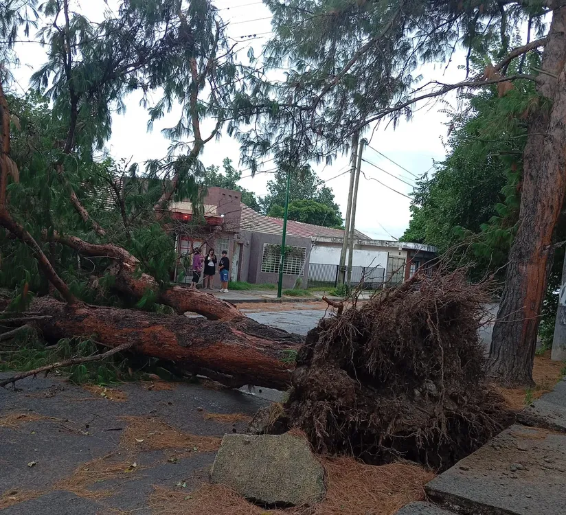 WhatsApp Image 2026-01-07 at 19.41.54