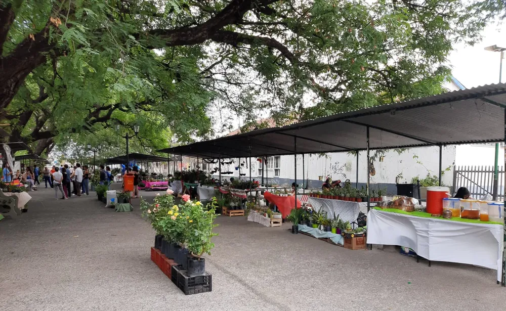 feria-de-plantas-paseo-ameghino-1