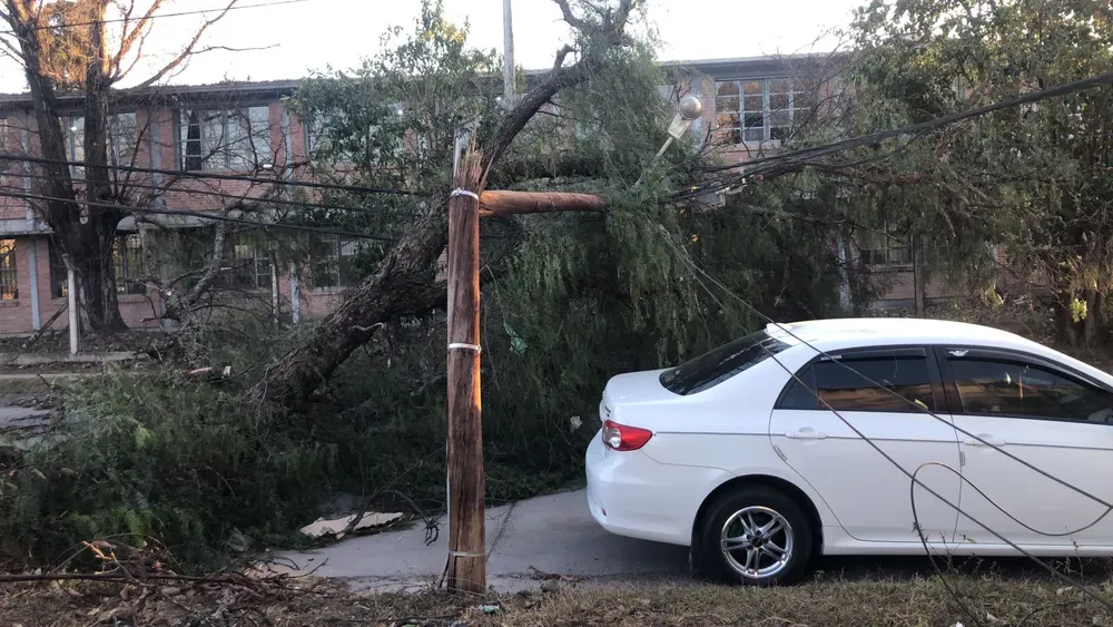 cayó árbol en villa palacios