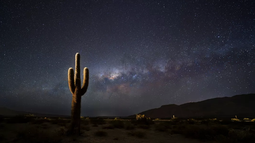 108488-el-parque-nacional-los-cardones-invita-a-vivir-una-noche-unica-de-astroturismo-en-los-valles-calchaquies