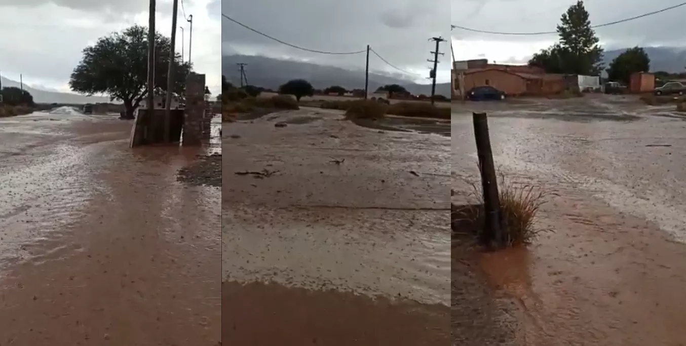 temporal seclanta