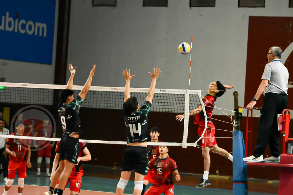 Infernales  Aries  (2).jpg