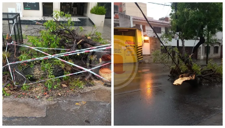 TORMENTAS MUNICIPALIDAD (1)