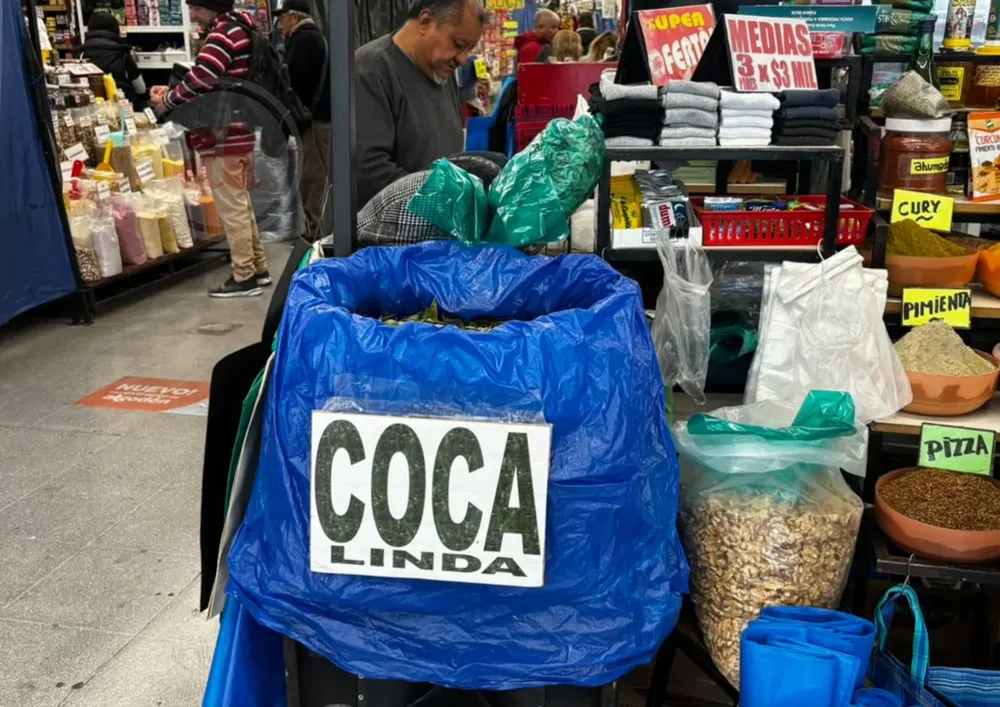 Diseño sin título (84)